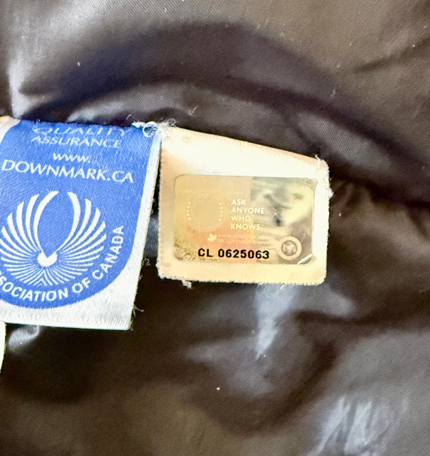 Canada Goose Branta Down Coat “Winfield Jacket” | Size L | Spirit | Rare Original | Style 2562M thumbnail 15