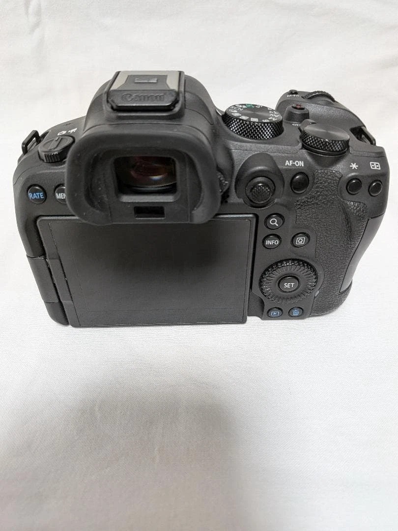 Canon EOS R6 Mark II Mirrorless Camera with 24-105mm f/4–7.1 IS STM Kit thumbnail 3