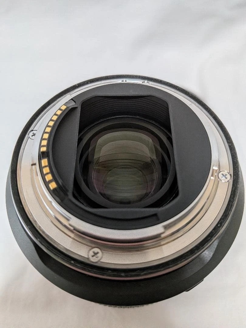 Canon EOS R6 Mark II Mirrorless Camera with 24-105mm f/4–7.1 IS STM Kit thumbnail 9