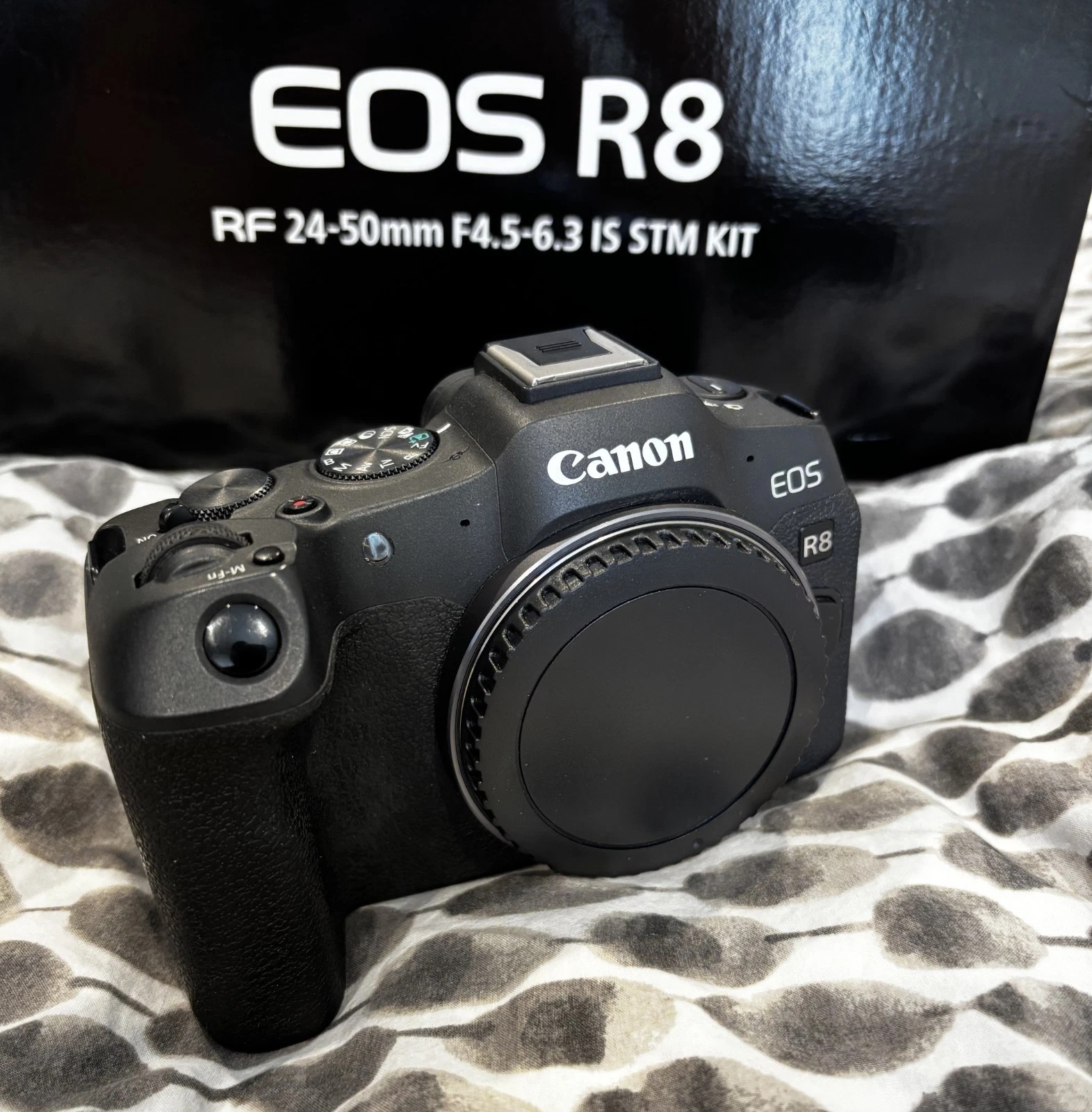 Canon EOS R8 Mirrorless Camera Black Kit with RF 24–50mm f/4.5–6.3 IS Lens + Extra Battery thumbnail 3