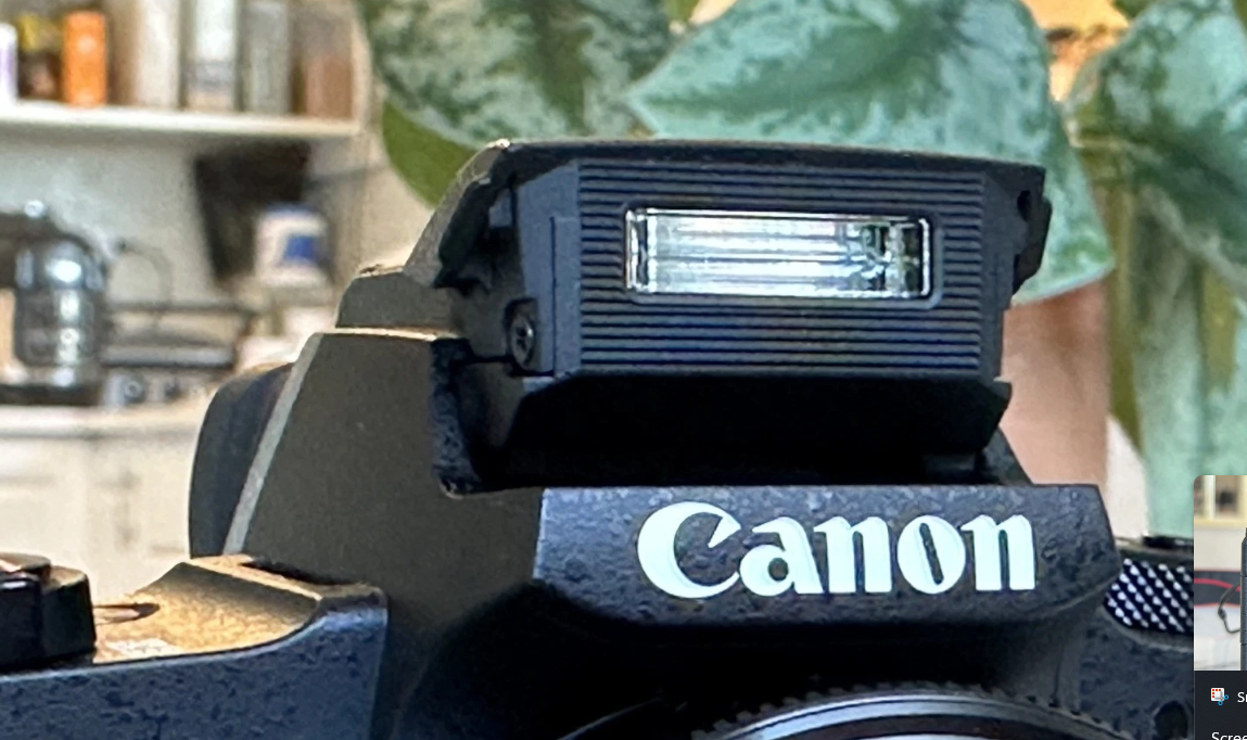 Canon PowerShot G1 X Mark III 24.2 MP Digital Camera thumbnail 9