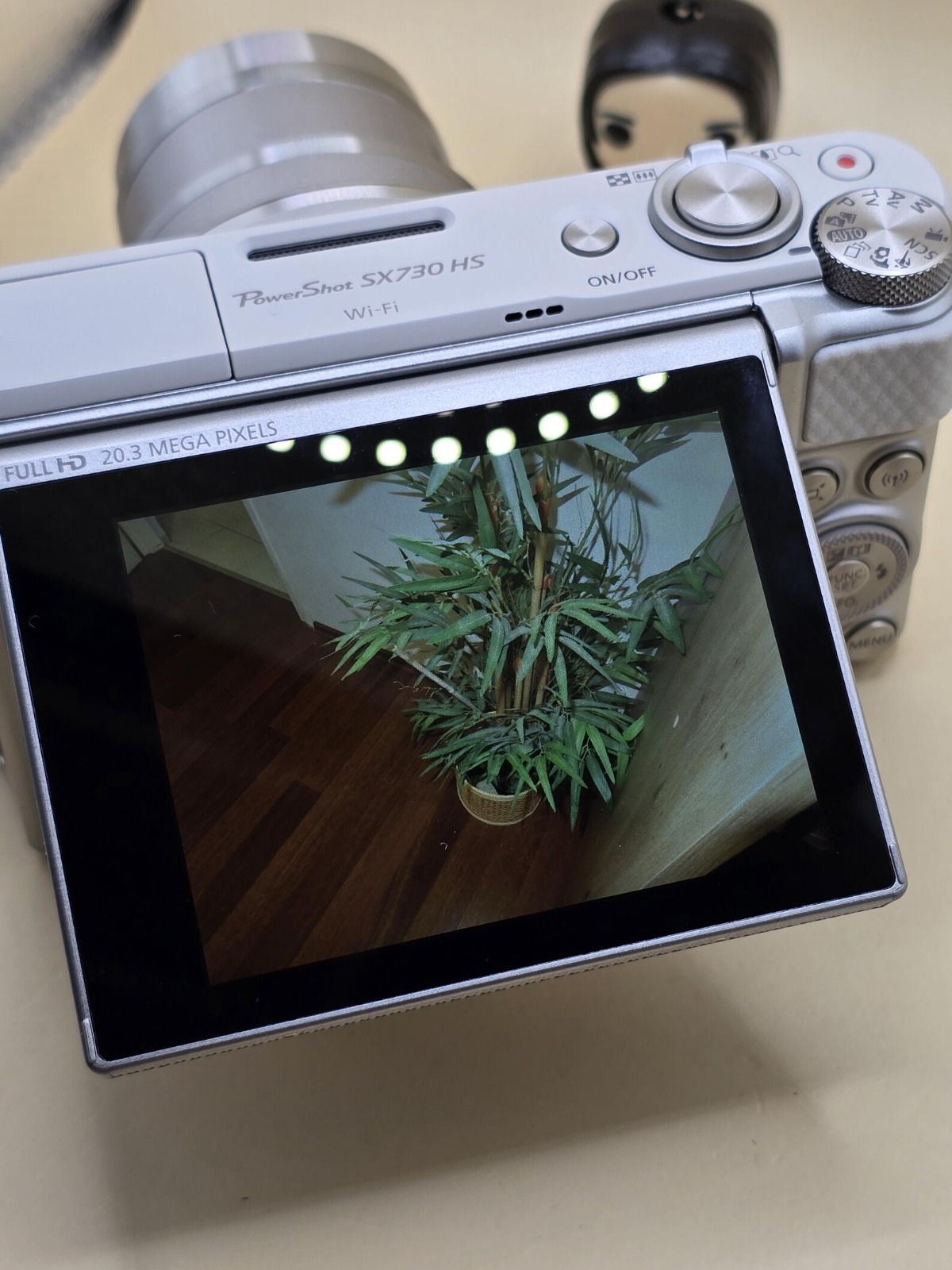 Canon PowerShot SX730 HS with 20.3 MP flip-out screen, 40x optical zoom thumbnail 12