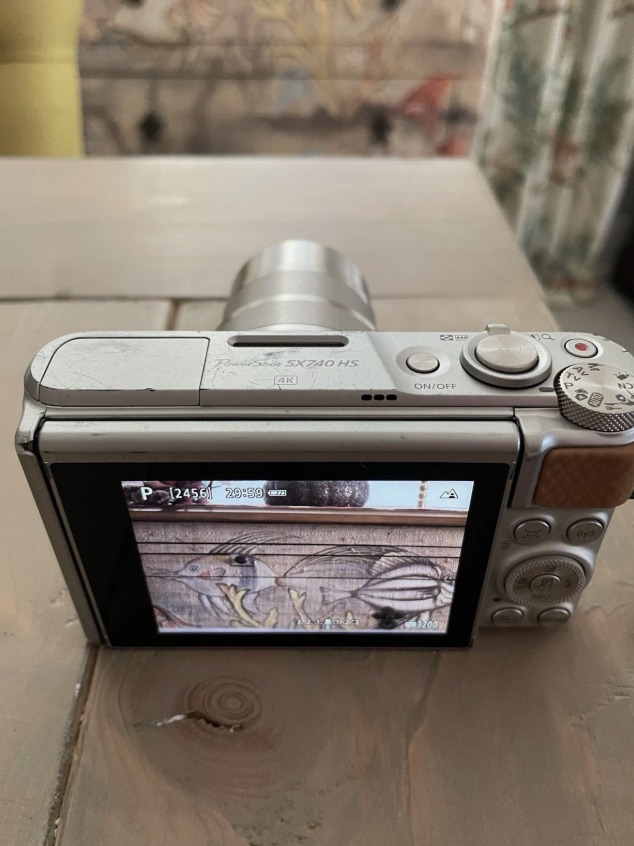 canon-powershot-sx740-hs-20mp-4k-digital-camera-silver  thumbnail 7