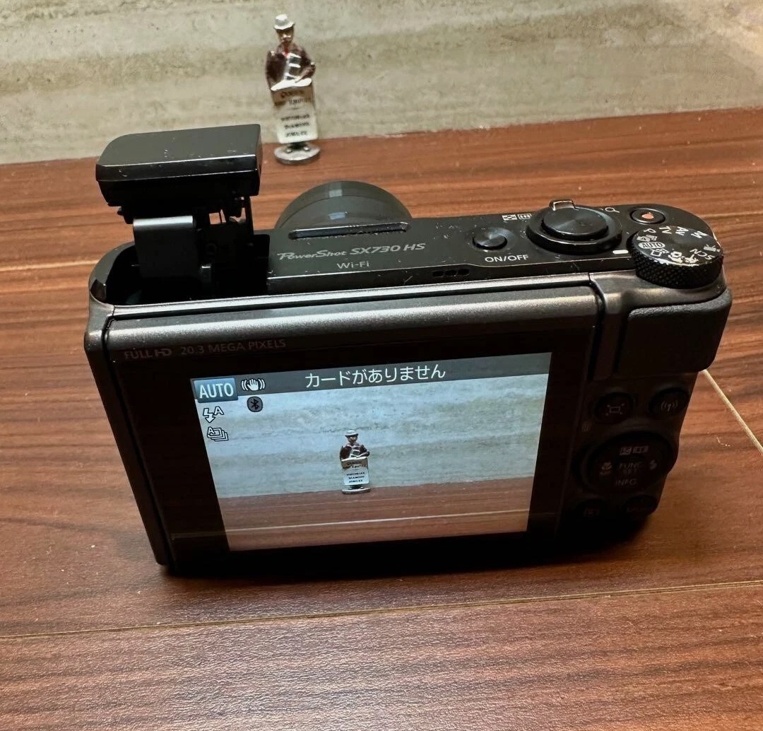 Canon PowerShot SX730 HS Digital Camera thumbnail 20