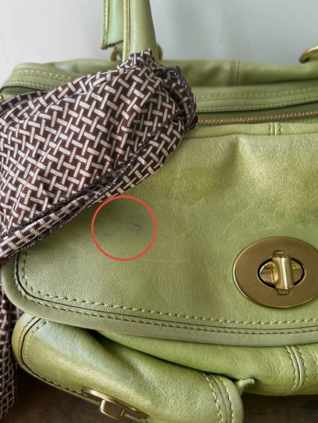 coach-legacy-stripe-lining-peyton-limited-satchel-bag-green-vintage thumbnail 10