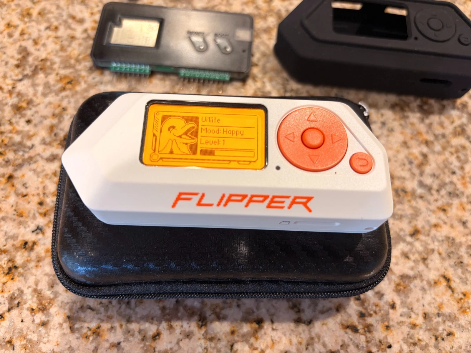 Flipper Zeros, Wifi Card, Case thumbnail 1