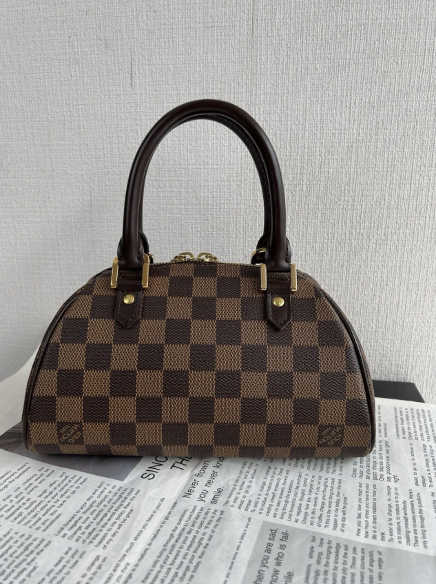 Louis Vuitton Damier Ebene Riviera Handbag Brown