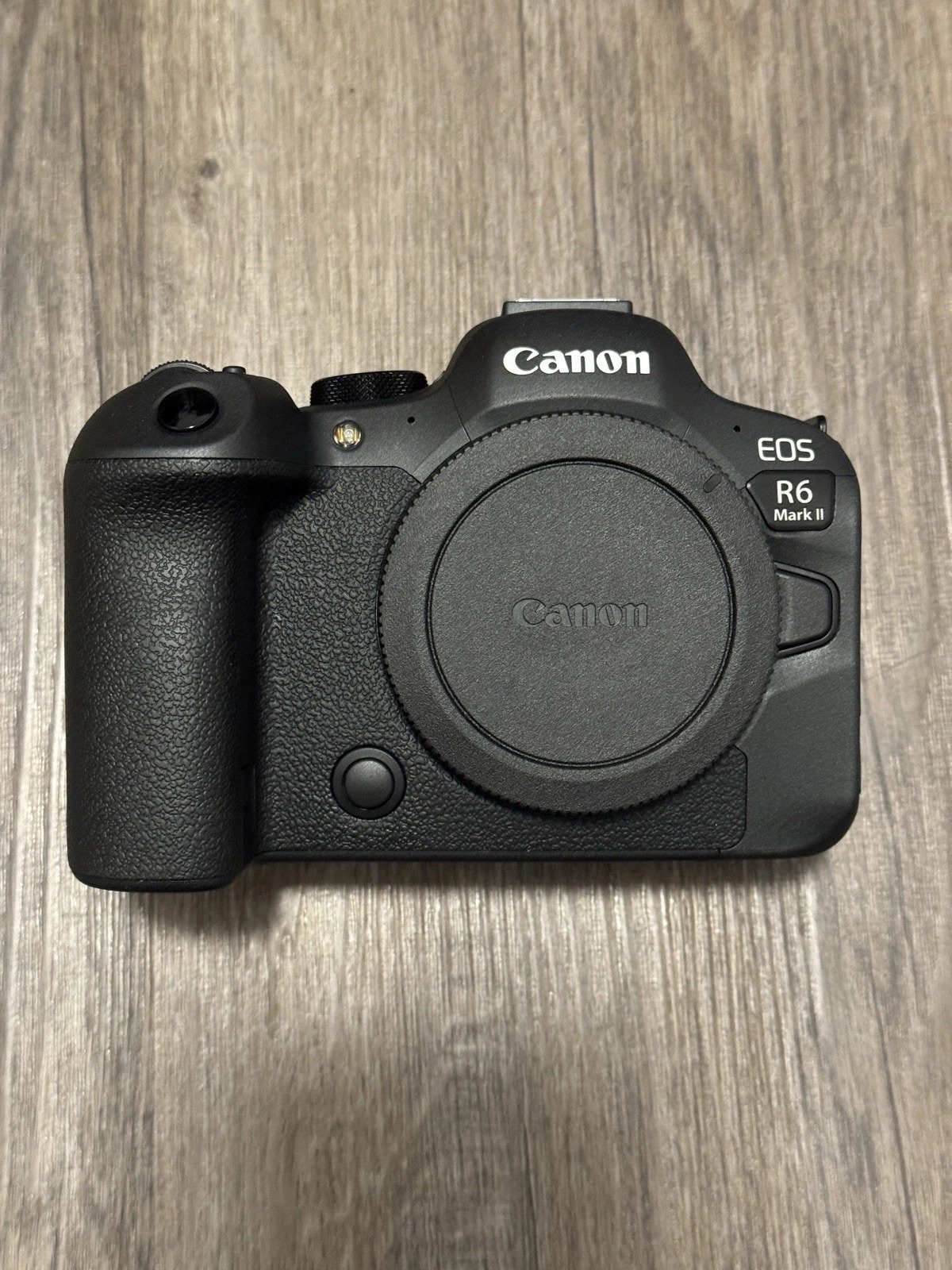 [Mint] Canon EOS R6 Mark II 24.2MP Mirrorless Camera Body (Shutter Count: 81) thumbnail 2