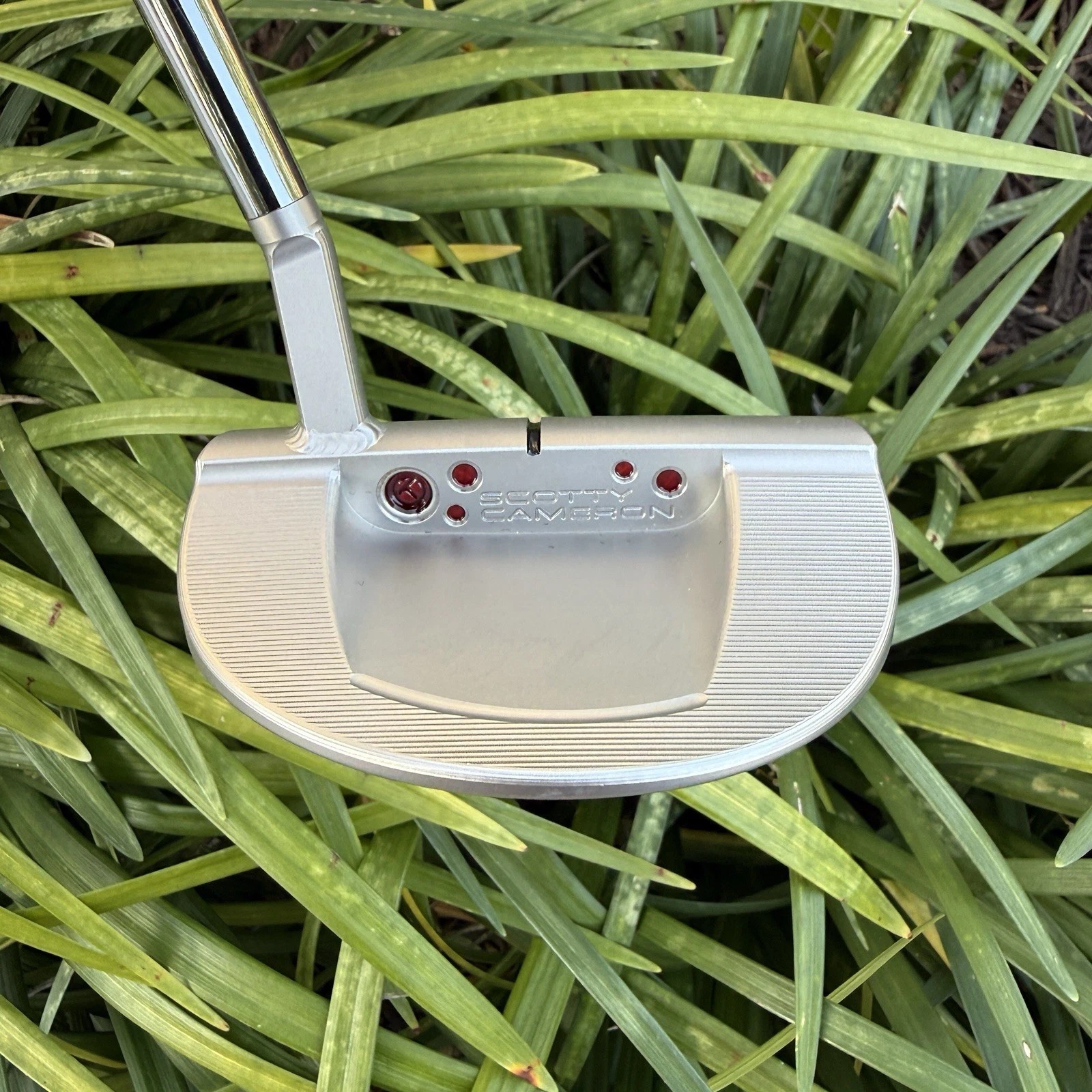 New Scotty Cameron Circle T GoLo 6.5 SSS Tourtype 34 Inch CT Tour Right Hand thumbnail 4