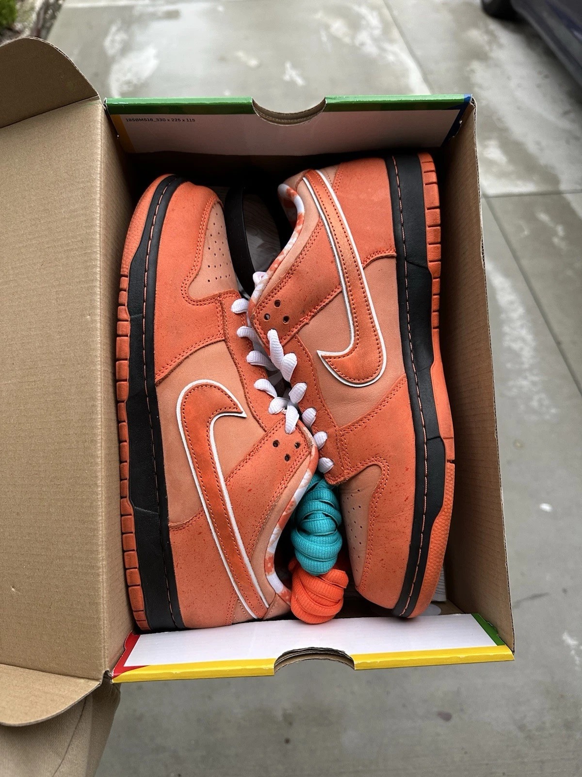 Nike Dunk Low SB x Concepts Orange Lobster Size 11.5 FD8776-800 Clean Fast Ship thumbnail 6