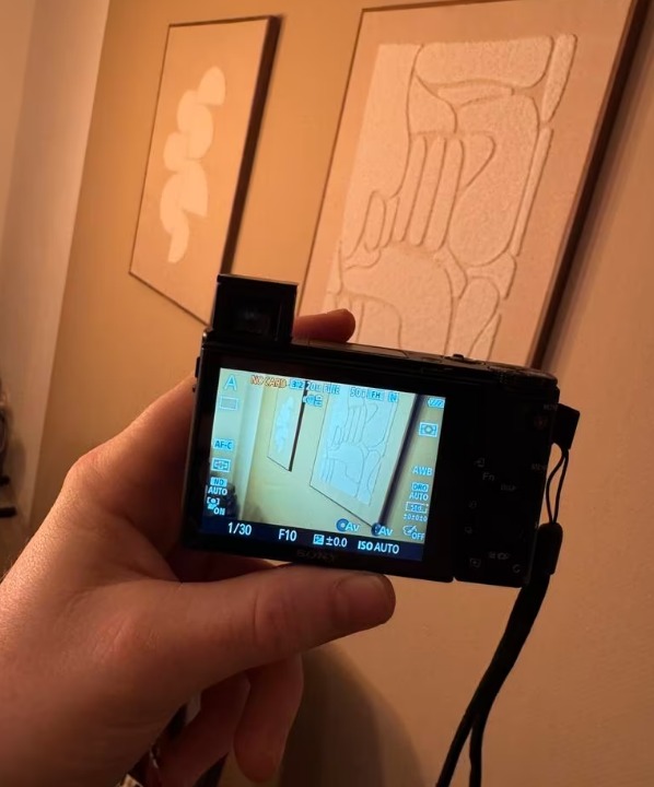 Sony RX100 VIII thumbnail 8